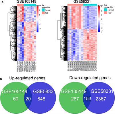 Microarray Data of Lacrimal Gland Implicates Dysregulated Protein Processing in Endoplasmic Reticulum in Graves’ Ophthalmopathy